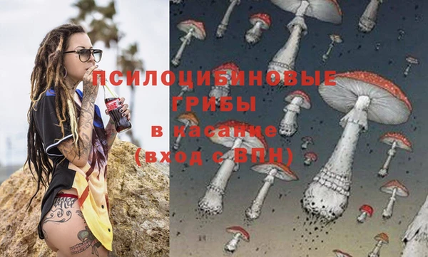 MDMA Весьегонск