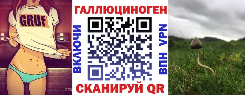 Псилоцибиновые грибы Cubensis  Купить закладки  Кстово 